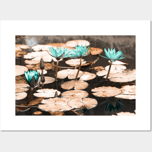 Waterlilies Wall Art by Gaspar Avila